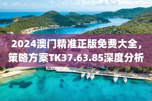 2024澳门精准正版免费大全，策略方案TK37.63.85深度分析