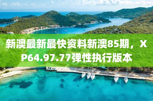 新澳最新最快资料新澳85期，XP64.97.77弹性执行版本