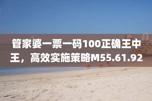 管家婆一票一码100正确王中王，高效实施策略M55.61.92