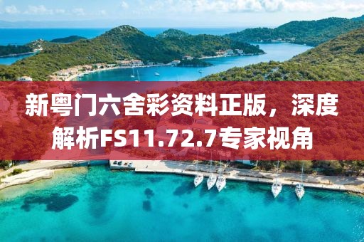 新粤门六舍彩资料正版，深度解析FS11.72.7专家视角