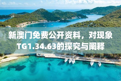 新澳门免费公开资料，对现象TG1.34.63的探究与阐释