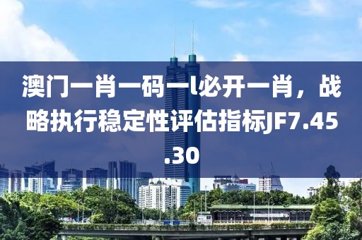 澳门一肖一码一l必开一肖，战略执行稳定性评估指标JF7.45.30