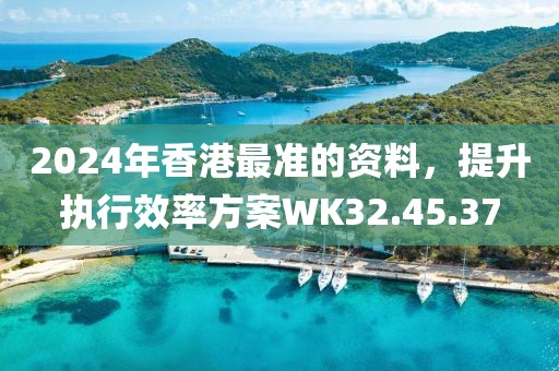 2024年香港最准的资料，提升执行效率方案WK32.45.37