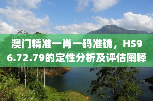 澳门精准一肖一码准确，HS96.72.79的定性分析及评估阐释