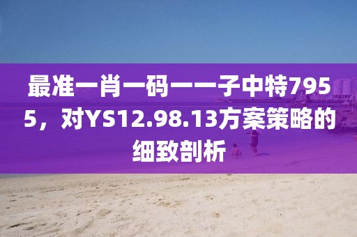 最准一肖一码一一子中特7955，对YS12.98.13方案策略的细致剖析