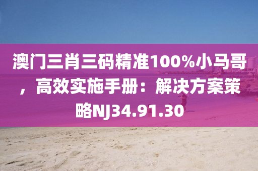 澳门三肖三码精准100%小马哥，高效实施手册：解决方案策略NJ34.91.30