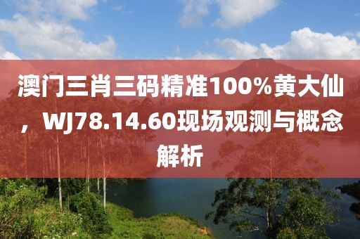 澳门三肖三码精准100%黄大仙，WJ78.14.60现场观测与概念解析