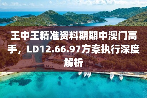 王中王精准资料期期中澳门高手，LD12.66.97方案执行深度解析