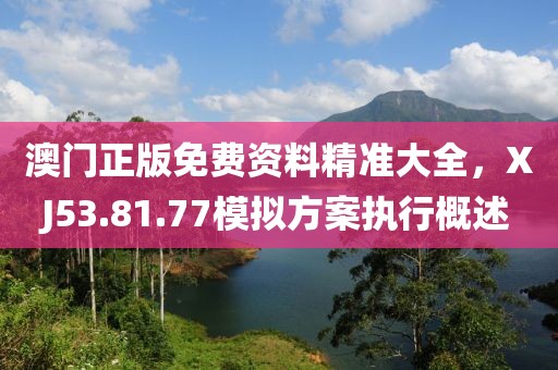 澳门正版免费资料精准大全，XJ53.81.77模拟方案执行概述