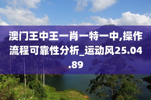 澳门王中王一肖一特一中,操作流程可靠性分析_运动风25.04.89