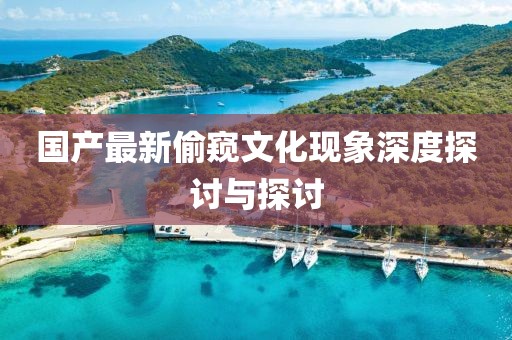 国产最新偷窥文化现象深度探讨与探讨