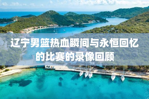 辽宁男篮热血瞬间与永恒回忆的比赛的录像回顾