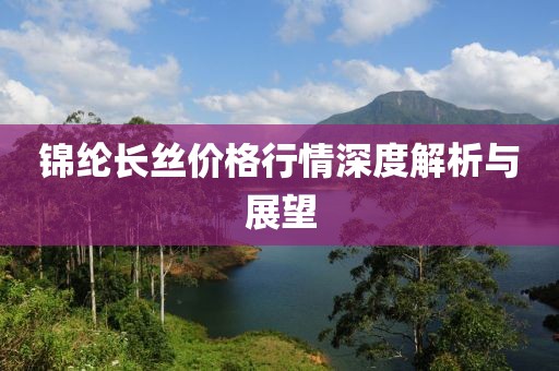 锦纶长丝价格行情深度解析与展望