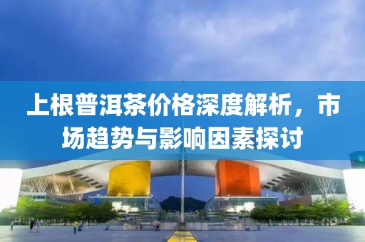 上根普洱茶价格深度解析，市场趋势与影响因素探讨