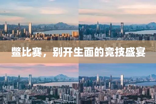 鳖比赛，别开生面的竞技盛宴