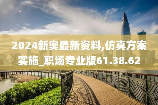 2024新奥最新资料,仿真方案实施_职场专业版61.38.62