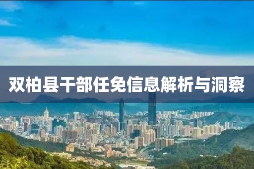 双柏县干部任免信息解析与洞察