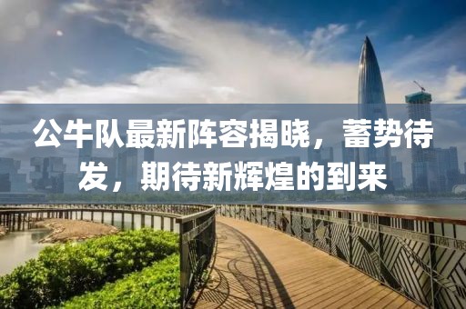 公牛队最新阵容揭晓，蓄势待发，期待新辉煌的到来