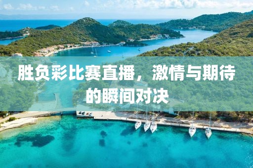 胜负彩比赛直播，激情与期待的瞬间对决