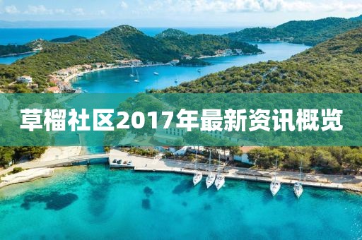 草榴社区2017年最新资讯概览