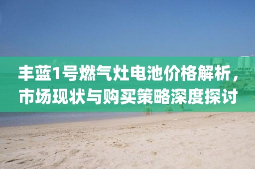 丰蓝1号燃气灶电池价格解析，市场现状与购买策略深度探讨