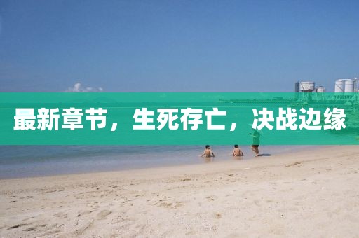 最新章节，生死存亡，决战边缘