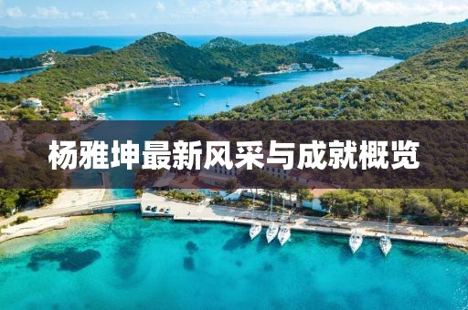 杨雅坤最新风采与成就概览