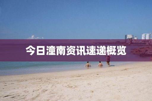 今日潼南资讯速递概览