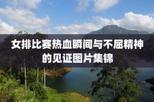 女排比赛热血瞬间与不屈精神的见证图片集锦