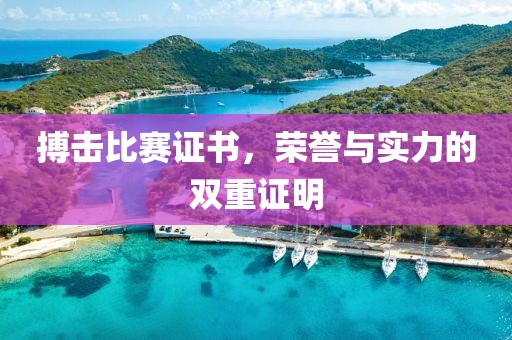搏击比赛证书，荣誉与实力的双重证明