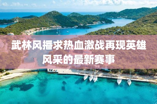 武林风播求热血激战再现英雄风采的最新赛事