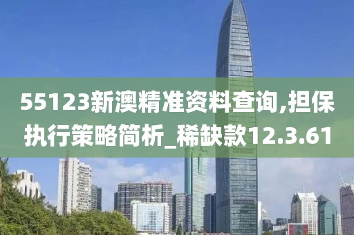 55123新澳精准资料查询,担保执行策略简析_稀缺款12.3.61