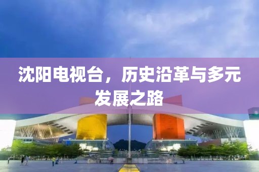 沈阳电视台，历史沿革与多元发展之路