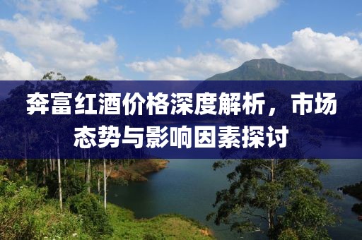 奔富红酒价格深度解析，市场态势与影响因素探讨