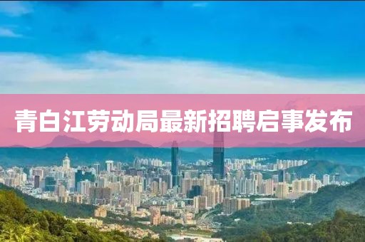 青白江劳动局最新招聘启事发布