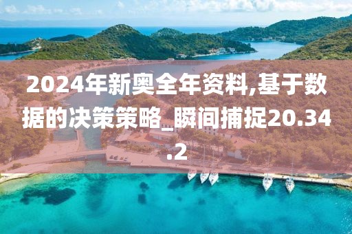 2024年新奥全年资料,基于数据的决策策略_瞬间捕捉20.34.2