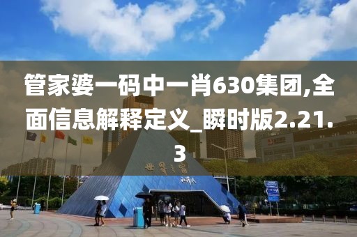 管家婆一码中一肖630集团,全面信息解释定义_瞬时版2.21.3