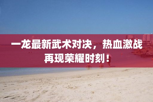 一龙最新武术对决，热血激战再现荣耀时刻！