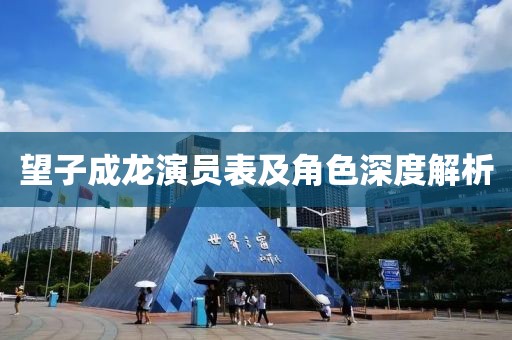 望子成龙演员表及角色深度解析