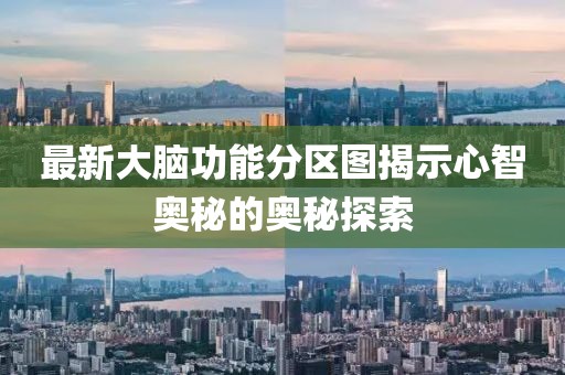 最新大脑功能分区图揭示心智奥秘的奥秘探索