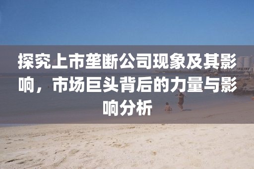 探究上市垄断公司现象及其影响，市场巨头背后的力量与影响分析