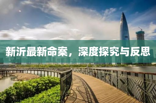 新沂最新命案，深度探究与反思