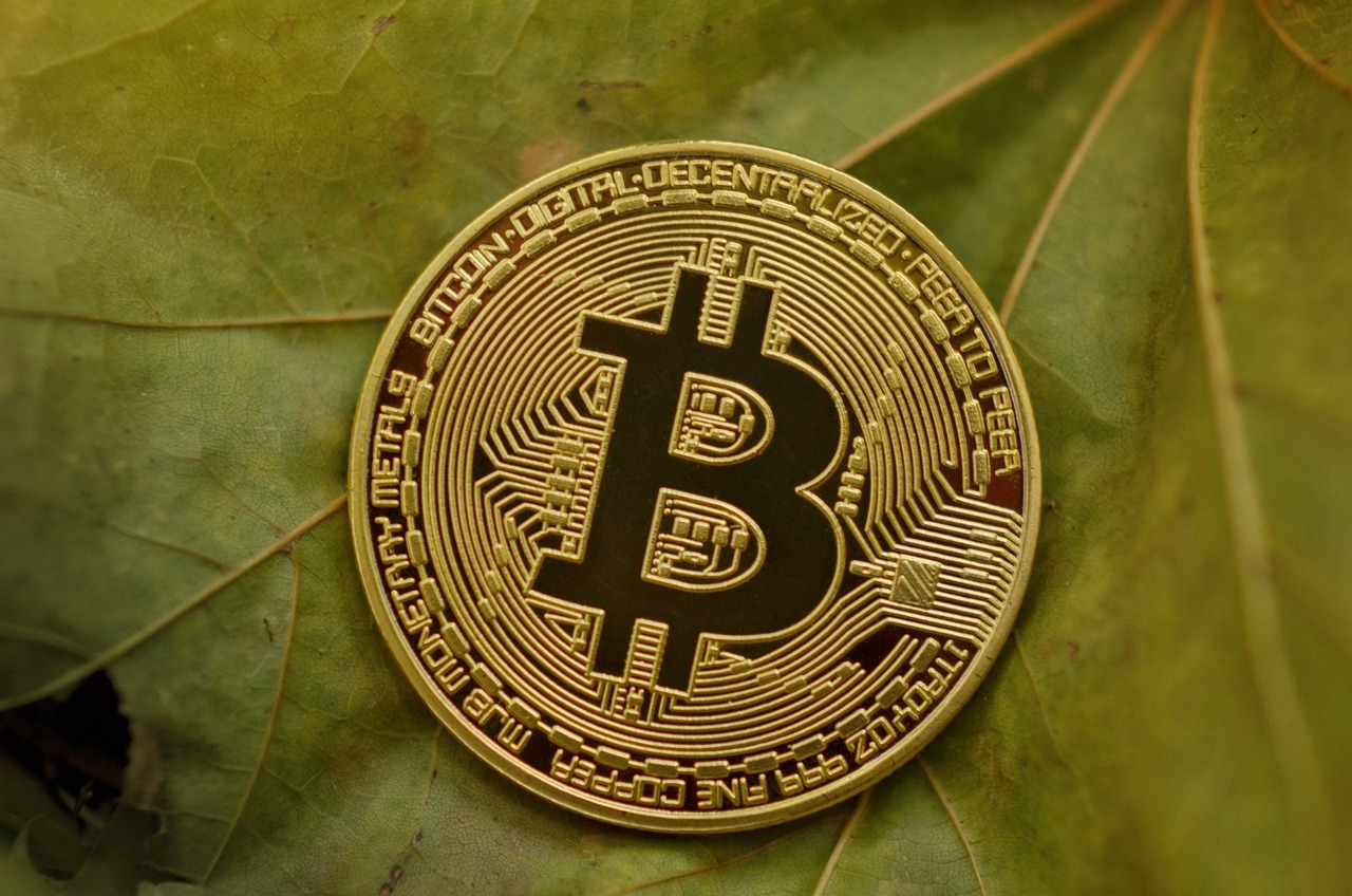 2024澳门天天开好彩大全开奖结果,电子信息与通信技术,超级加强版708.219