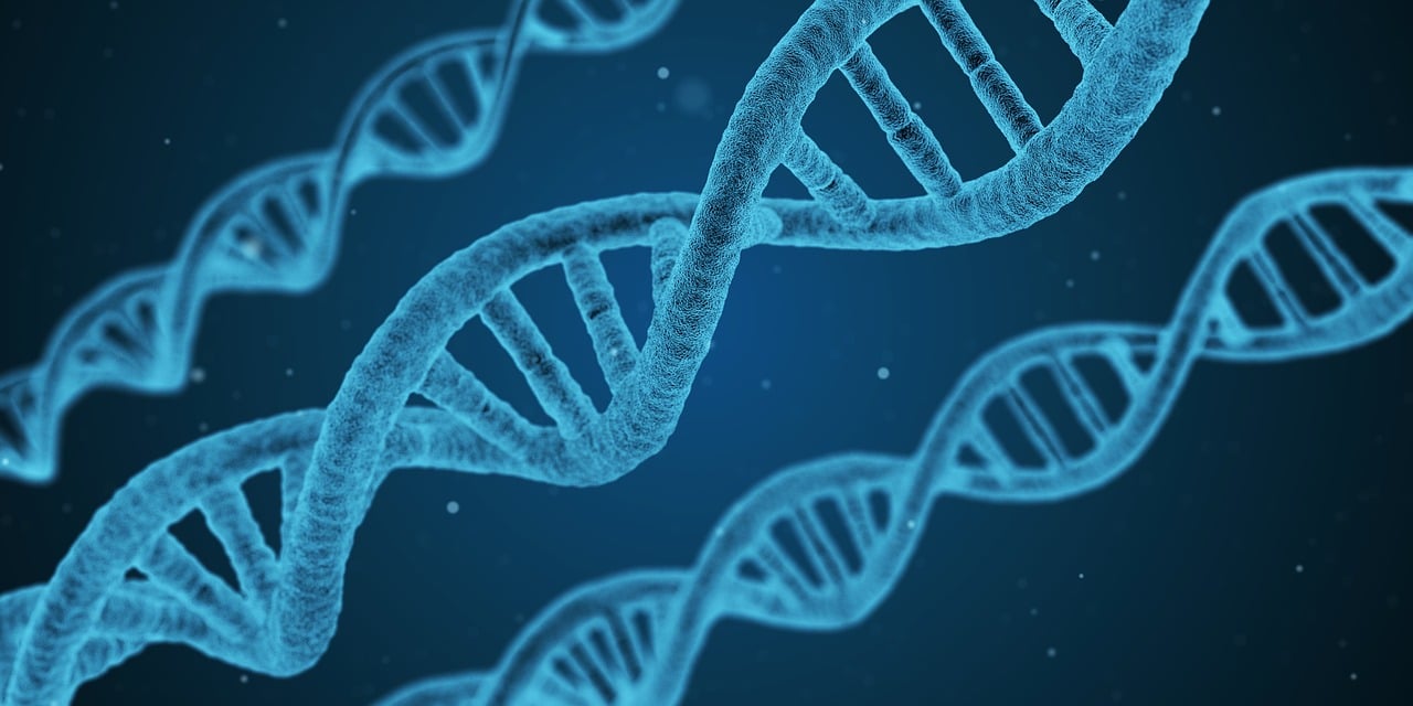新澳门一码一码100准确,结构科学,卓越版HW749.591