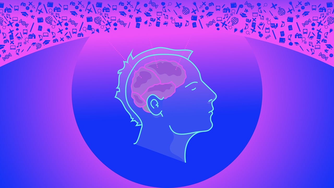 揭秘数字世界的神秘与惊喜，最新一期3D开奖结果揭晓！