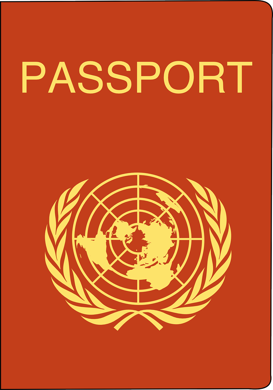跨越时代的数字之旅，94岁最新网站发布