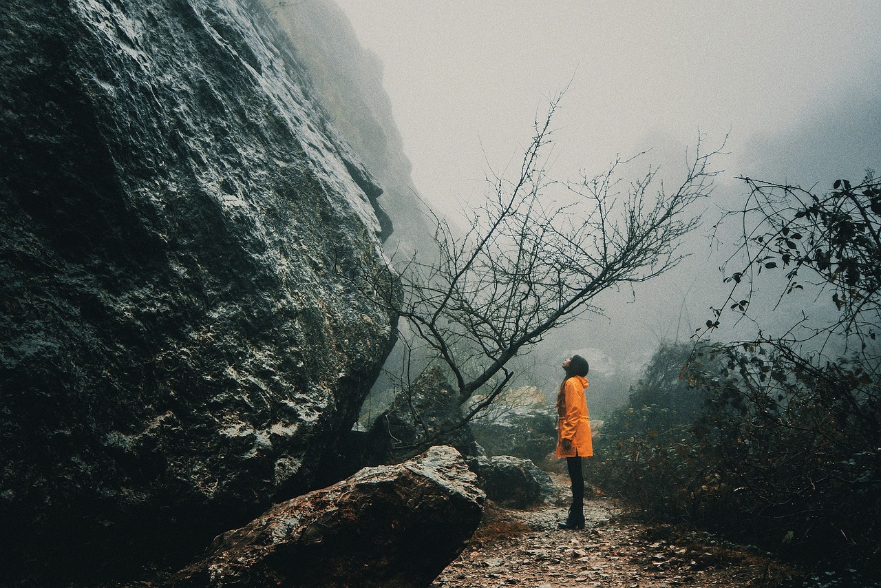 微微萌小主最新动态揭秘，探索偶像新篇章的旅程