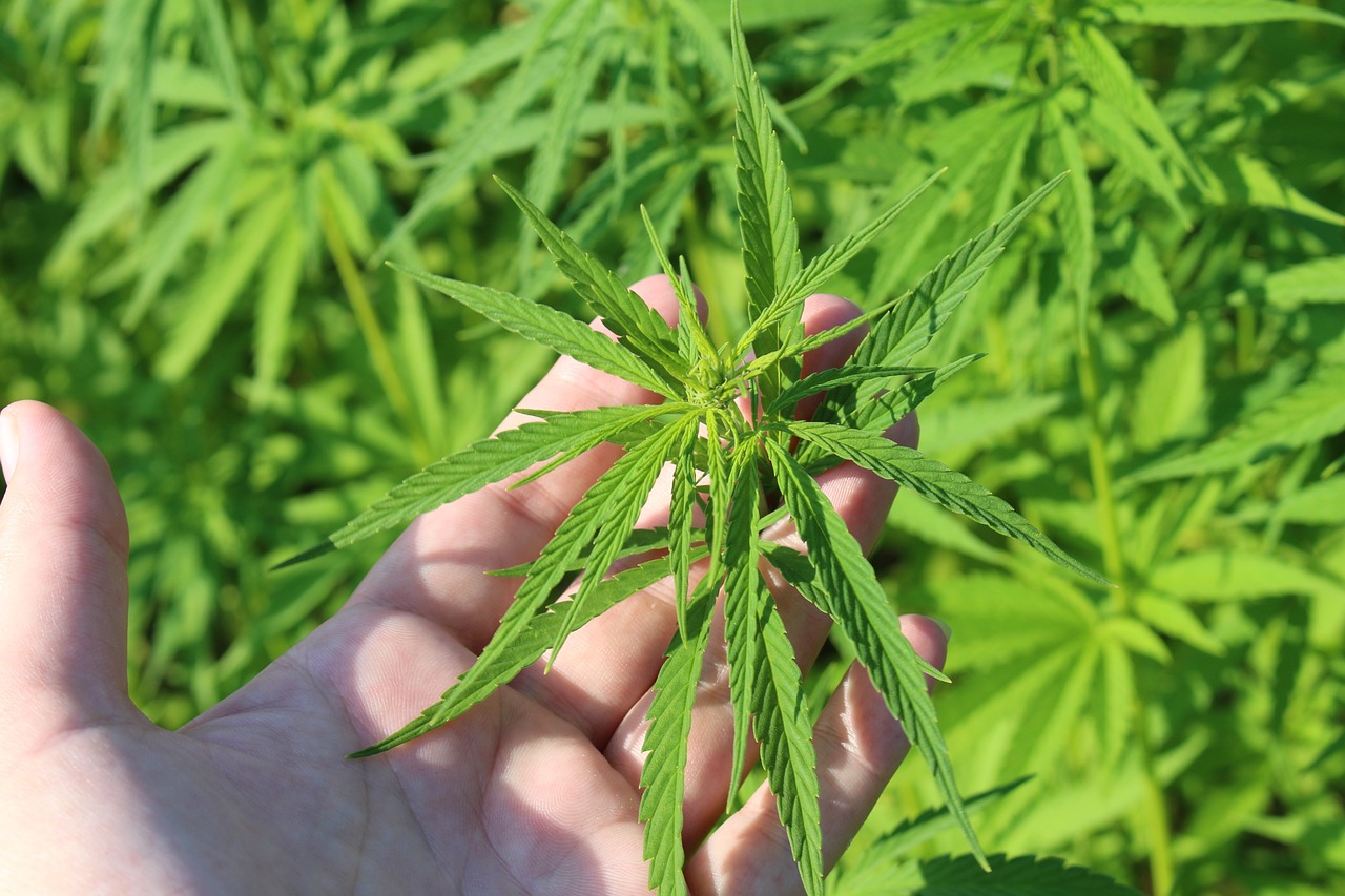 宝缘投资引领行业变革，共创美好未来最新动态