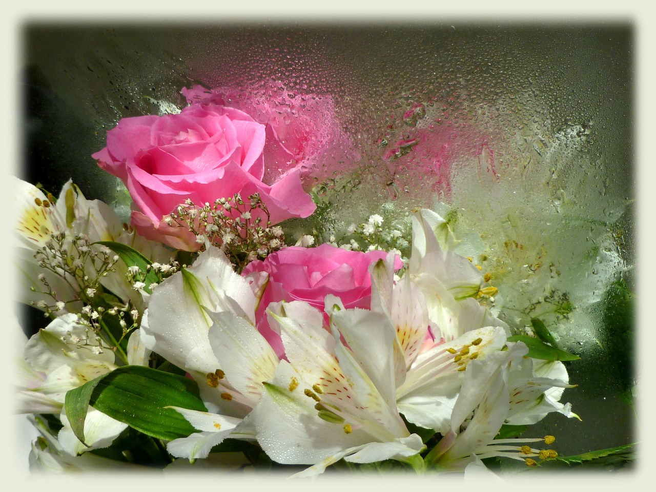 花花公主电影，银幕上的梦幻童话