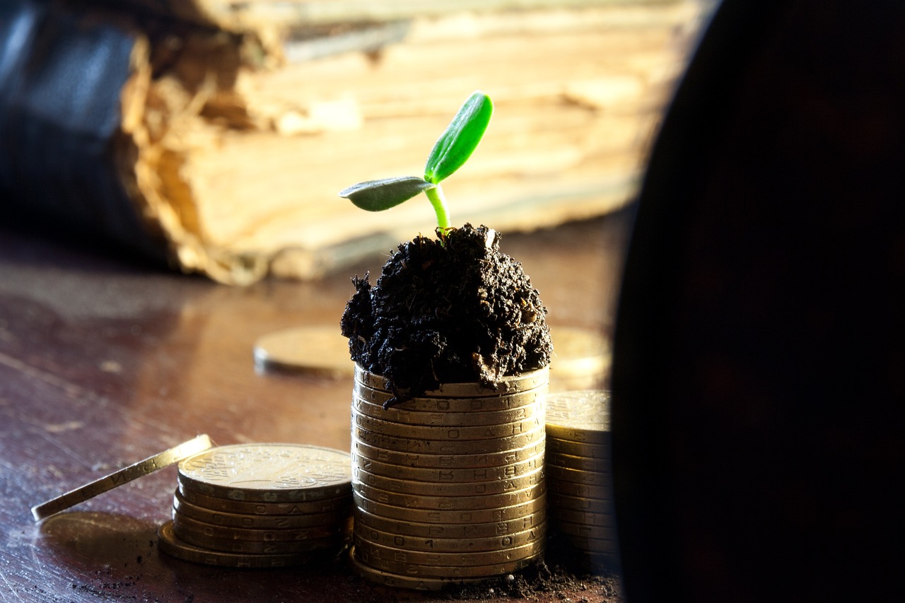 黄金现货最新动态解析与预测